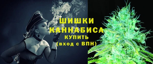тгк Горнозаводск