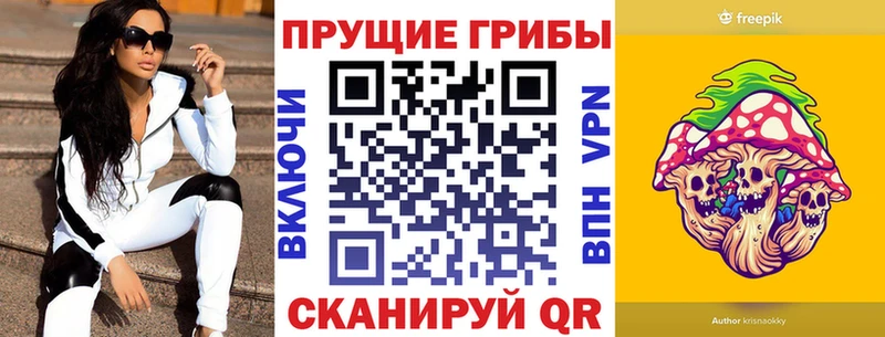 Псилоцибиновые грибы Cubensis где найти наркотики Зеленоградск